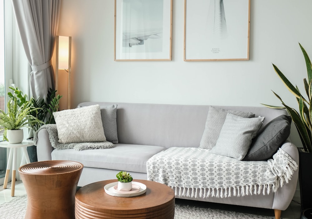 A living room with a sofa, cushions, plants and a rug, the kind of photo a customer would send.